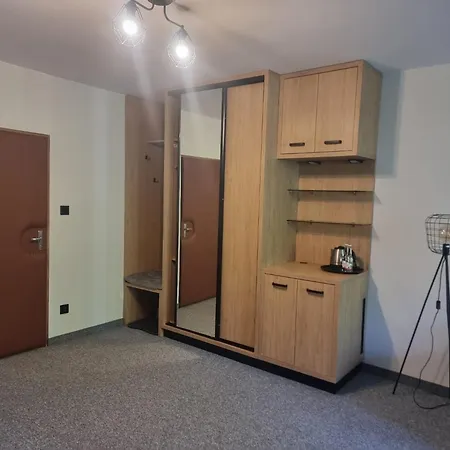 ホテル Sp Zoz Sanatorium Uzdrowiskowe Mswia W Krynicy-zdroju クリニツァ・ズドルイ