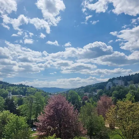 ホテル Sp Zoz Sanatorium Uzdrowiskowe Mswia W Krynicy-zdroju