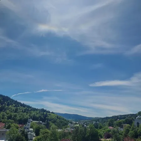 Sp Zoz Sanatorium Uzdrowiskowe Mswia W Krynicy-zdroju ホテル *