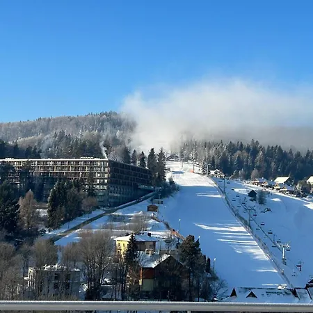 ホテル Sp Zoz Sanatorium Uzdrowiskowe Mswia W Krynicy-zdroju クリニツァ・ズドルイ