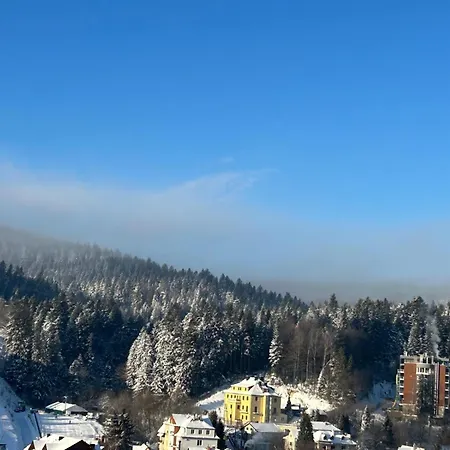 ホテル Sp Zoz Sanatorium Uzdrowiskowe Mswia W Krynicy-zdroju *