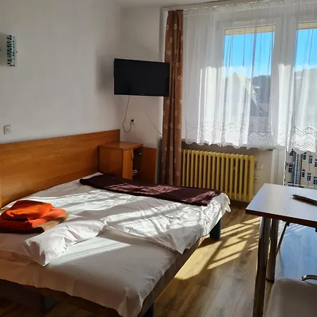 Hotel Sp Zoz Sanatorium Uzdrowiskowe Mswia W Krynicy-zdroju