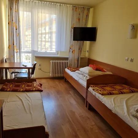 Sp Zoz Sanatorium Uzdrowiskowe Mswia W Krynicy-zdroju ホテル クリニツァ・ズドルイ